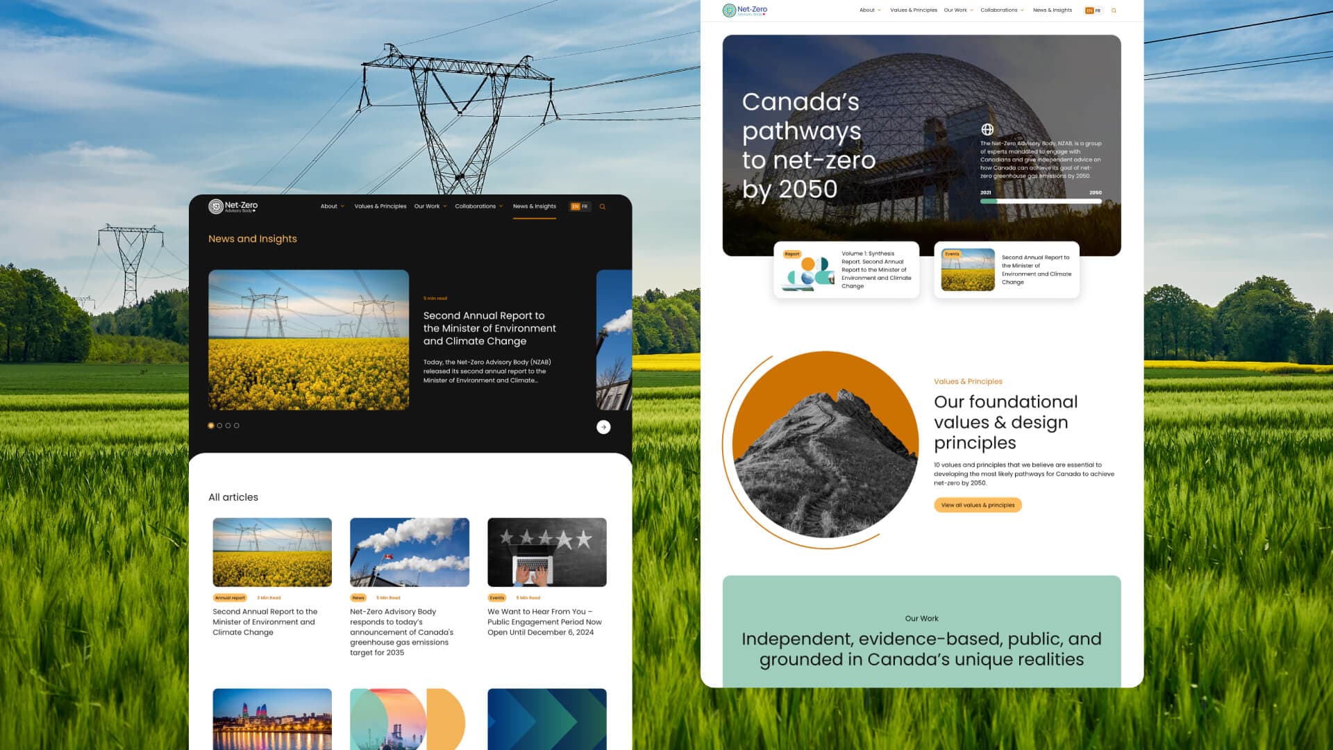 NZAB Website Redesign results image 1
